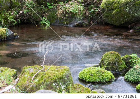 One third spring 67731861