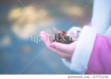 Woman holding a pine cone Woman holding a pine cone 67732456