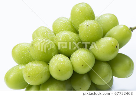 Autumn taste Fresh Shine Muscat 67732468
