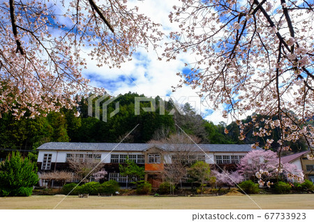 Closed school cherry blossoms (Shimoichi-cho, Yoshino-gun, Nara) Closed school cherry blossoms (Shimoichi-cho, Yoshino-gun, Nara) 67733923
