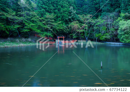 雨中的龍神池塘(奈良縣櫻井市) 雨中的龍神池塘(奈良縣櫻井市) 67734122