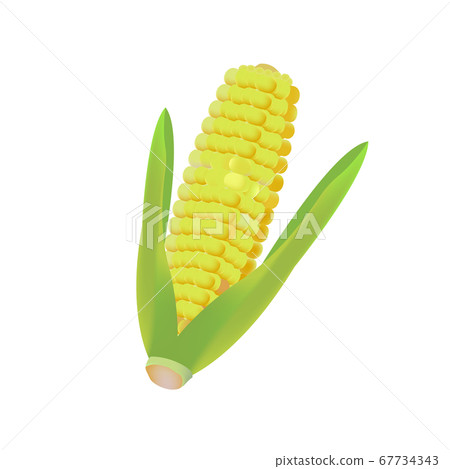 Simple corn illustration material - Stock Illustration [67734343] - PIXTA