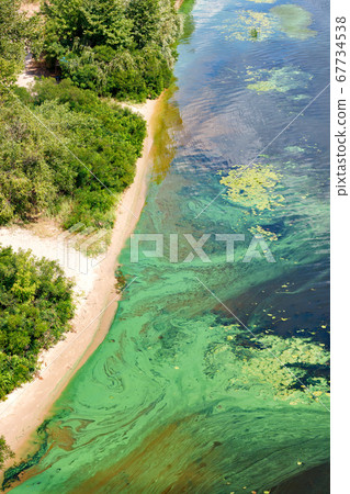 The coast on the surface of the river is covered 67734538