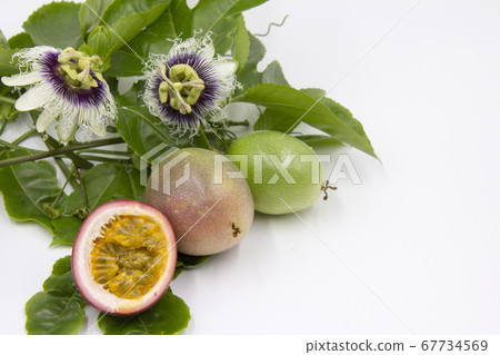 百香果花和水果 67734569