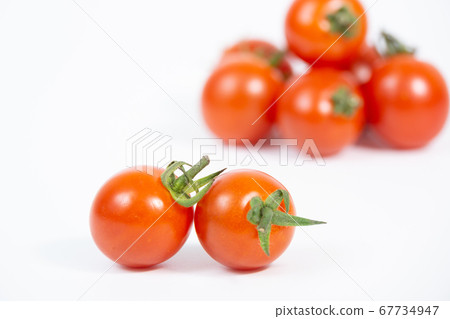  Mini Tomato 67734947