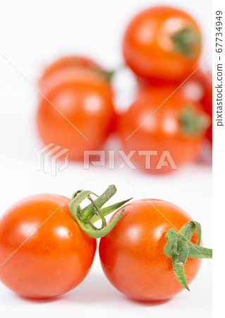  Mini Tomato 67734949