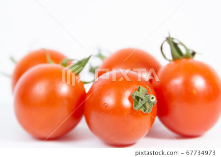  Mini Tomato 67734973
