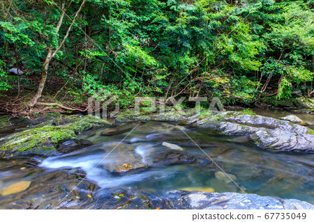 Fresh green Iwasodo Valley [Nishisaki City, Nagasaki Prefecture] 67735049