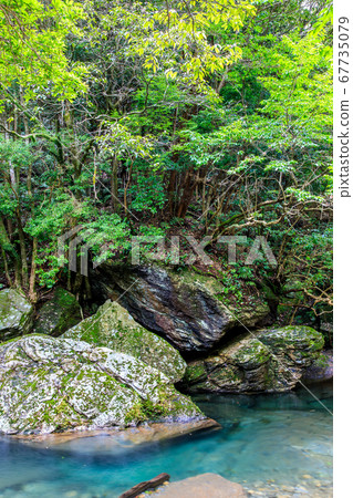 新鮮的綠色岩wasodo谷[長崎縣西崎市] 67735079
