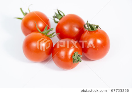櫻桃西紅柿 櫻桃西紅柿 67735266