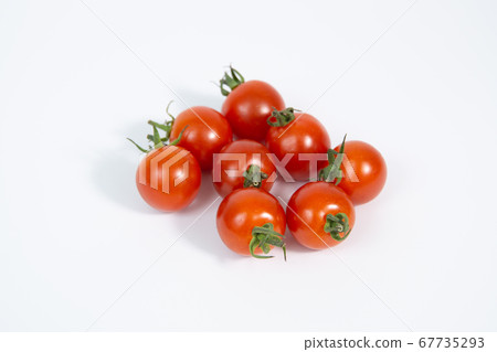  Mini Tomato 67735293