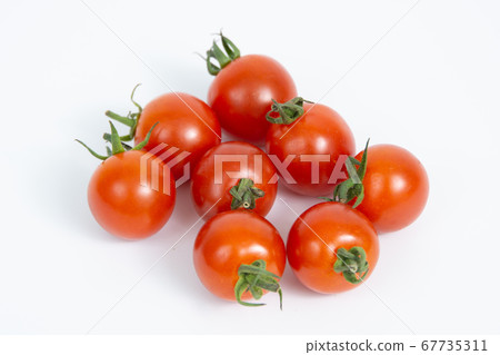  Mini Tomato 67735311