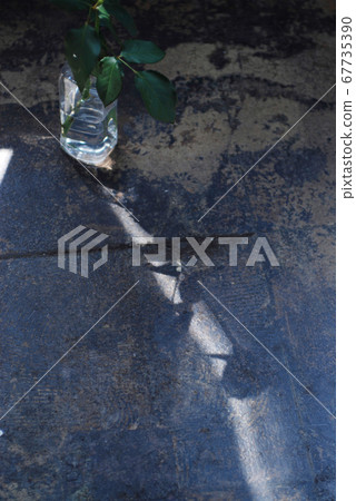 Silhouette of roses in a vase placed in an old building Silhouette of roses in a vase placed in an old building 67735390