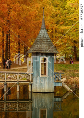 Tove Jansson Akebono Children's Forest Park-Autumn leaves 67736257