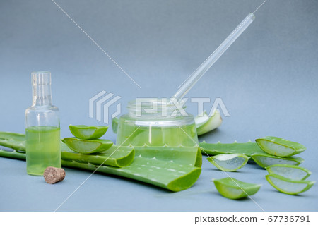 Aloe vera Gel that has both substances to cure scars And used to produce health drinks Or cosmetics that are good for the skin 67736791