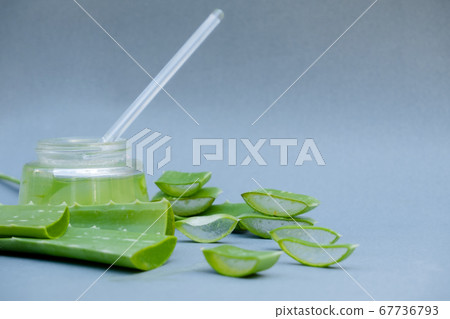 Aloe vera Gel that has both substances to cure scars And used to produce health drinks Or cosmetics that are good for the skin 67736793