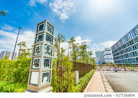 東京丰洲市場有明北橋門的城市景觀 67736904