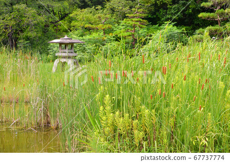Waterside scenery (Tsurumi Ryokuchi Park, Osaka) 67737774