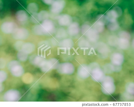 抽象森林bokeh背景，離群焦點 67737853