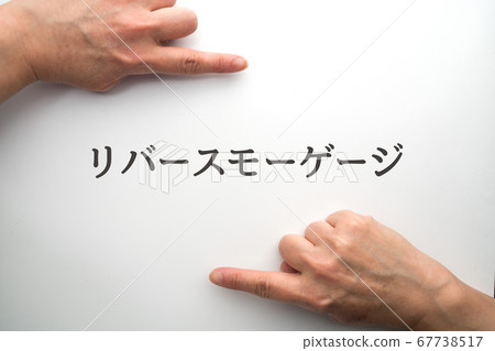 圖像反向抵押 67738517