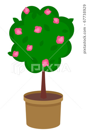 Fruit tree in a brown pot. Pink flowers, green leaves. Gardening, agriculture. Vector image Fruit tree in a brown pot. Pink flowers, green leaves. Gardening, agriculture. Vector image 67738929