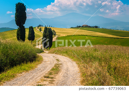 Real Tuscany landscape with grain fields and rural road, Italy 67739063