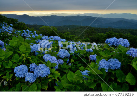 Okawara Kogen in twilight (Sanakawachi Village, Tokushima Prefecture) 67739239