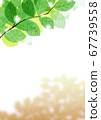 Fresh green and shade of cherry blossoms with sunbeams shining [Summer/Brown]_4 67739558