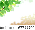 The fresh greenery and shade of cherry blossoms shining through the sunbeams [summer/brown]_1 67739599