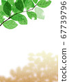 Cherry tree leaves and tree shade where sunlight shines through [Summer/Brown]_4 67739796
