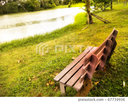 garden in the evening 67739936