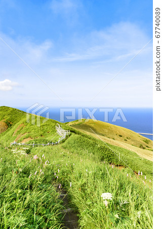 北海道禮文島/桃岩天文台觀景台 北海道禮文島/桃岩天文台觀景台 67740089