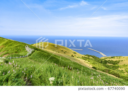 北海道禮文島/桃岩天文台觀景台 67740090