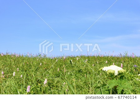View from Rebun Island/Momoiwa Observatory Course in Hokkaido 67740114