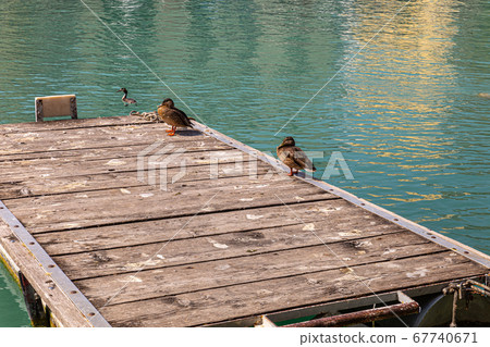 The Lake Garda The Lake Garda 67740671