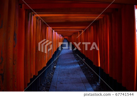 京都伏見稻荷大社神秘的千本鳥居 京都伏見稻荷大社神秘的千本鳥居 67741544