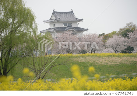 Sekijuku城堡,與城堡的風景 Sekijuku城堡,與城堡的風景 67741743