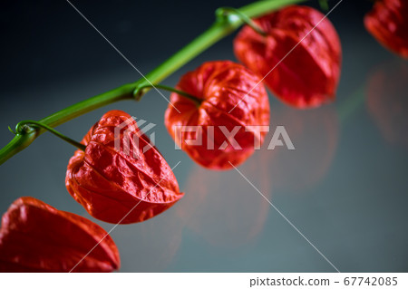A whirlpool that adds a red fruit in early summer and creates a taste 67742085