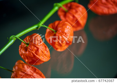 一個漩渦，在初夏時添加紅色水果並產生味道 67742087