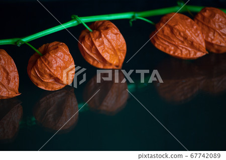A whirlpool that adds a red fruit in early summer and creates a taste A whirlpool that adds a red fruit in early summer and creates a taste 67742089