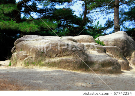 Elephant stone Elephant stone 67742224