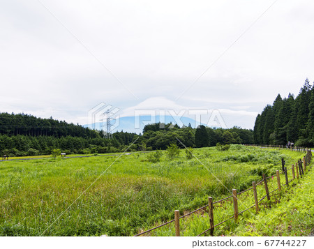 富士宮（雨季）唯一可欣賞富士小羽山濕地景觀的濕地 67744227