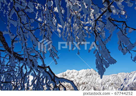 View of the rime and Yokodake along the Yatsugatake mountain range and Amidadake ridge View of the rime and Yokodake along the Yatsugatake mountain range and Amidadake ridge 67744252