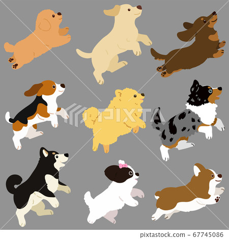Illustration of cute dog jumping Set B without main line 67745086