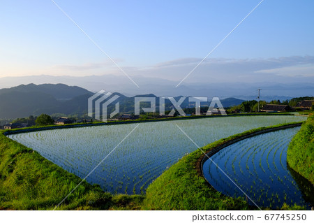 Dawn of rice terraces (Gosho City, Nara Prefecture) 67745250