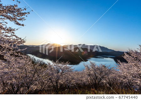 Sunrise on the lake 67745440