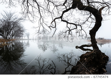 Mist-filled Bangjukgol Mist-filled Bangjukgol 67745474