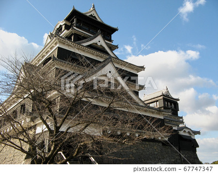 A photo looking up at Kumamoto Castle against the blue sky A photo looking up at Kumamoto Castle against the blue sky 67747347