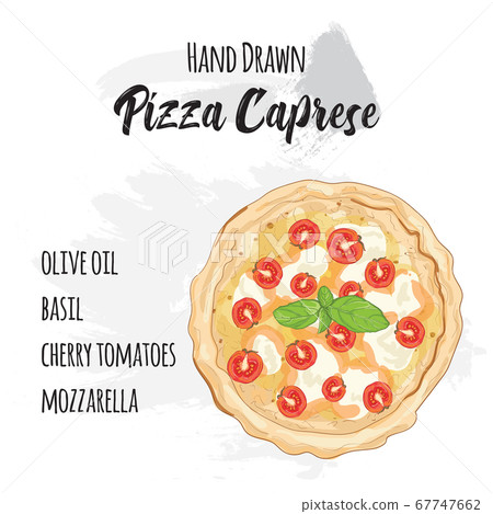Hand drawn colorful pizza Caprese with ingredients 67747662