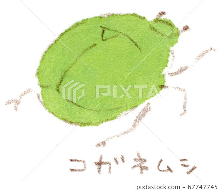 夏季昆蟲，金蟲子 67747745